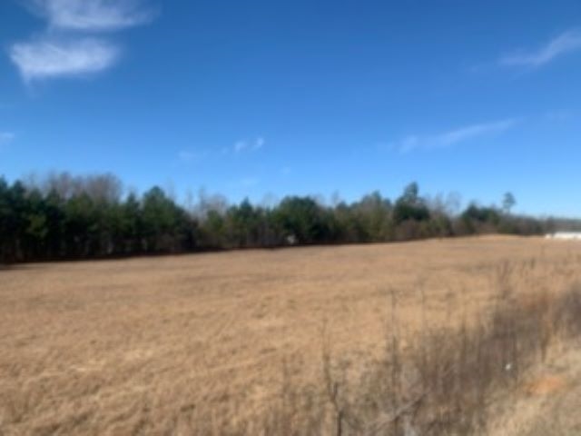 0 Boiling Springs Road Inman, SC 29349 - Photo 3 of 5