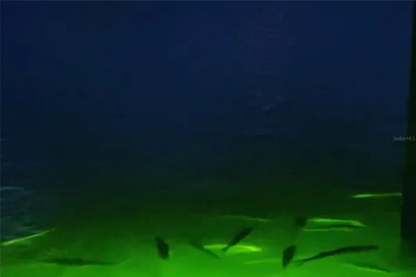 $1,575,000 | 431 Kettle Harbor Drive, Placida, FL 33946