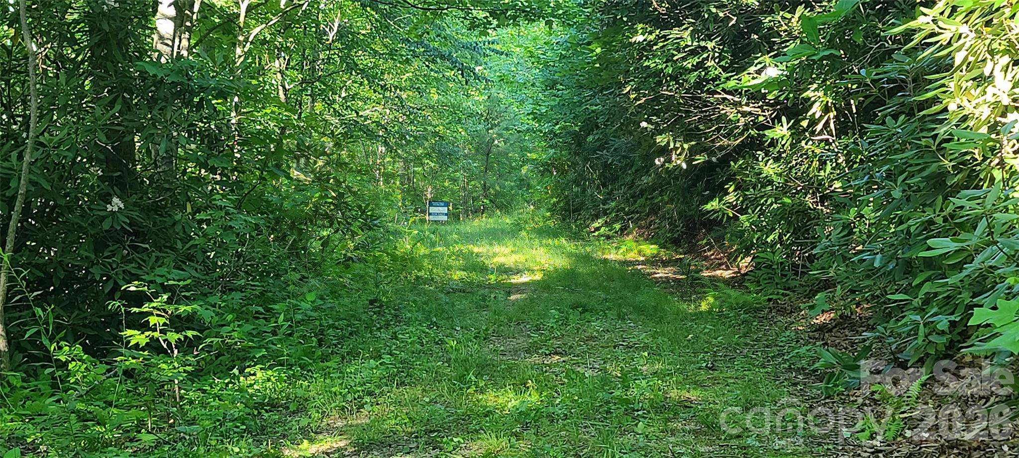 Lot#19 Mill Creek Road Old Fort, NC 28762 - Photo 12 of 13