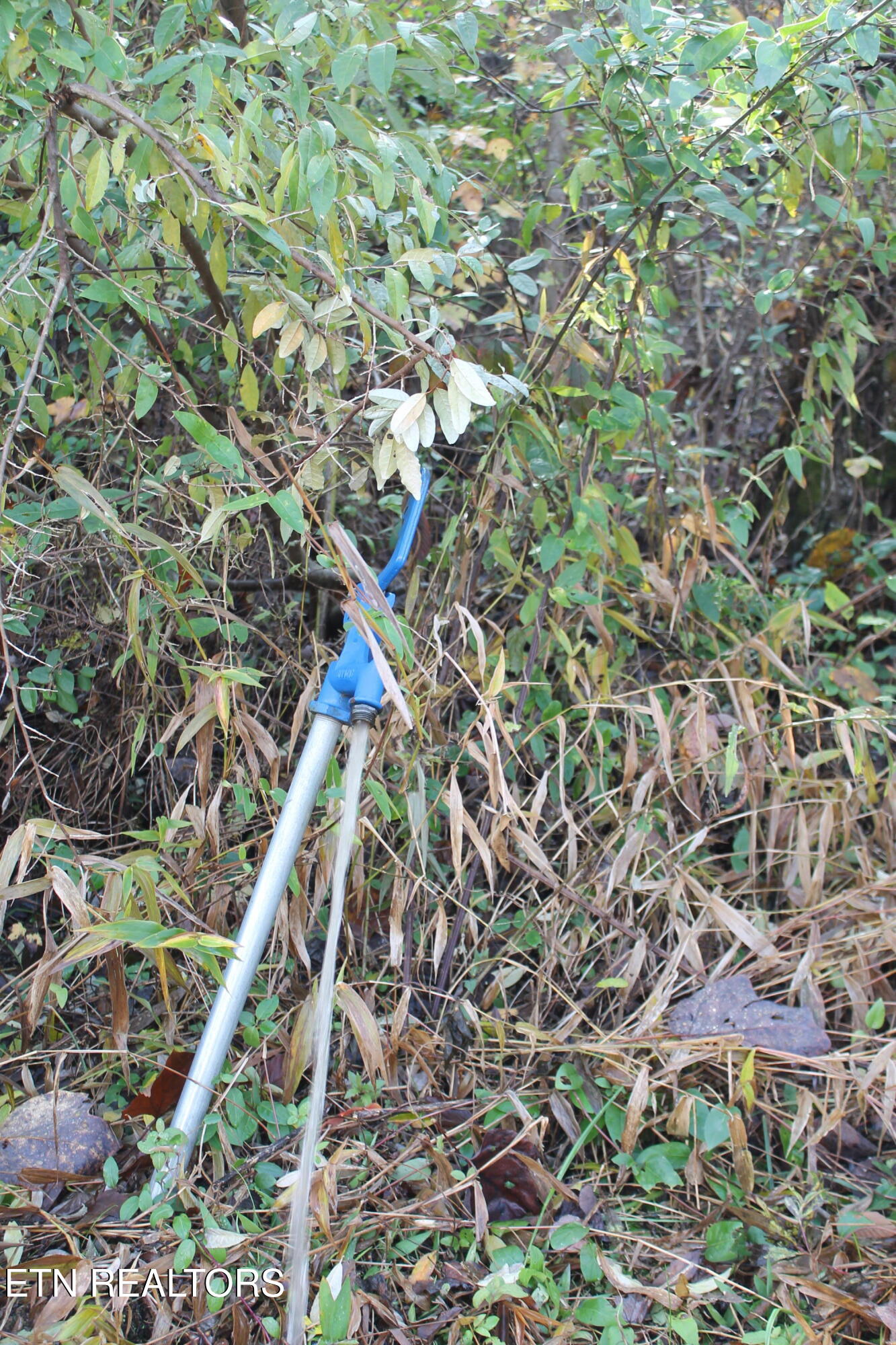 Baird Branch Winfield, TN 37892 - Photo 11 of 25 IMG_7927