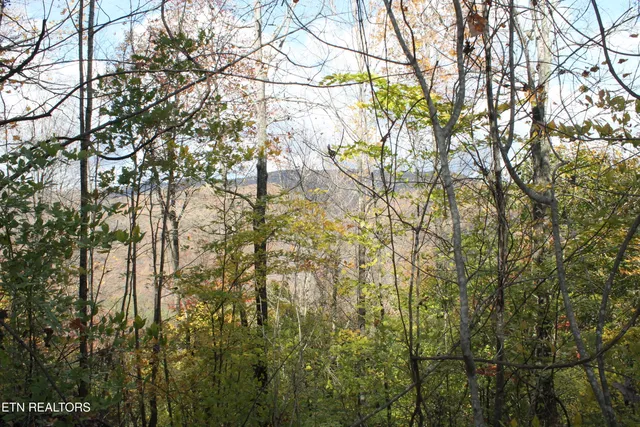 $548,000 | Baird Branch, Winfield, TN 37892