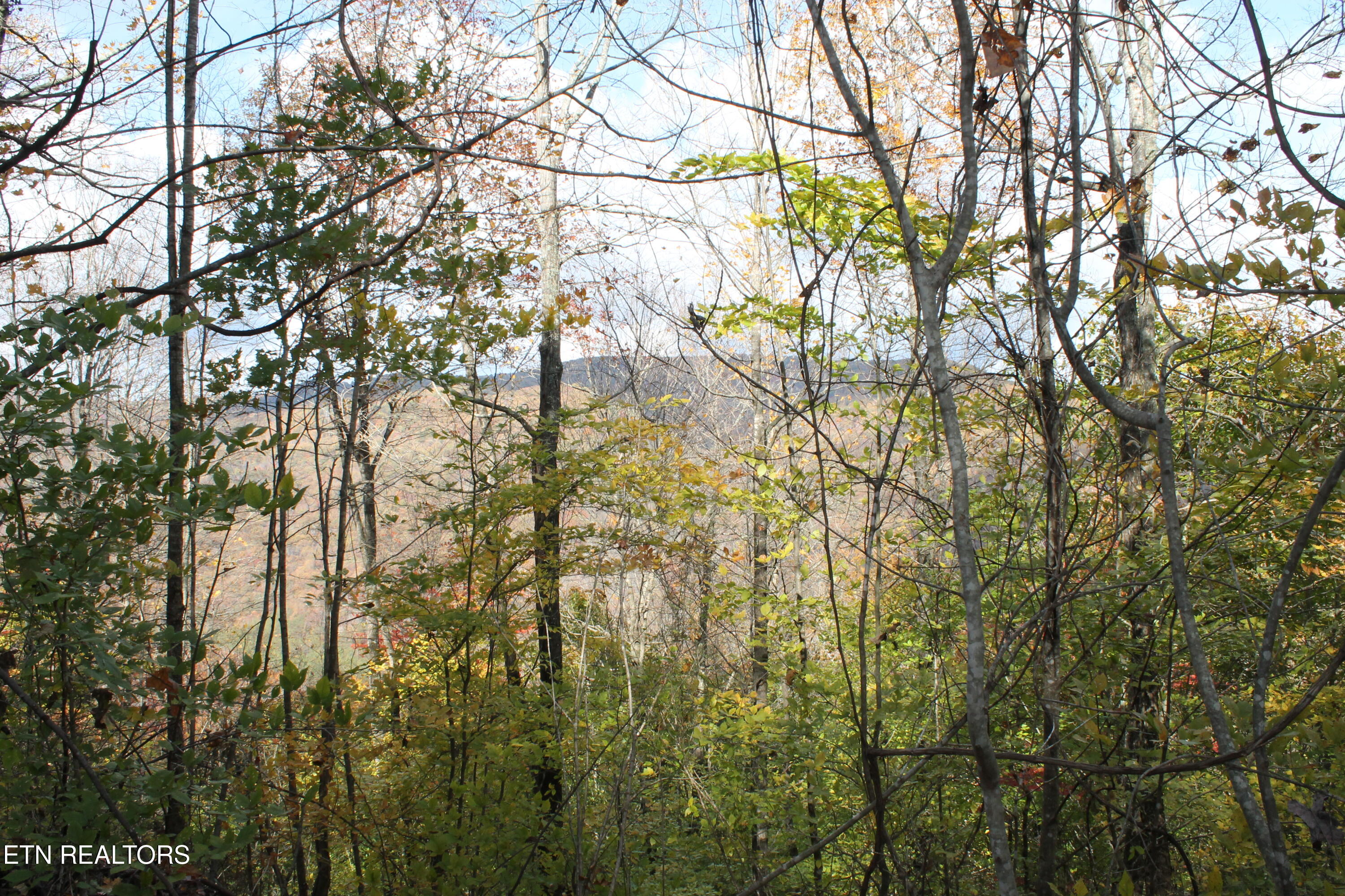 Baird Branch Winfield, TN 37892 - Photo 12 of 25 IMG_7928