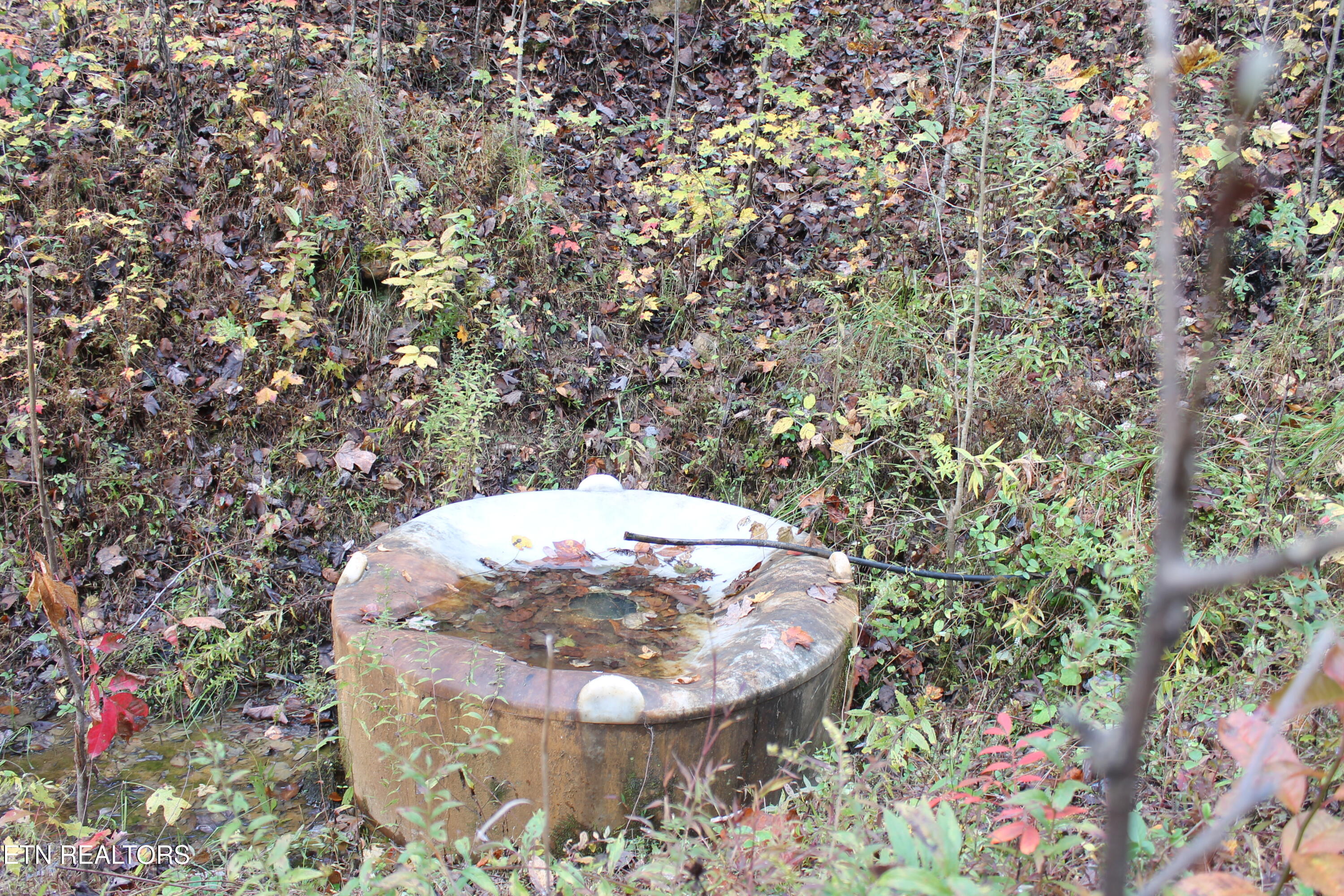 Baird Branch Winfield, TN 37892 - Photo 13 of 25 IMG_7929