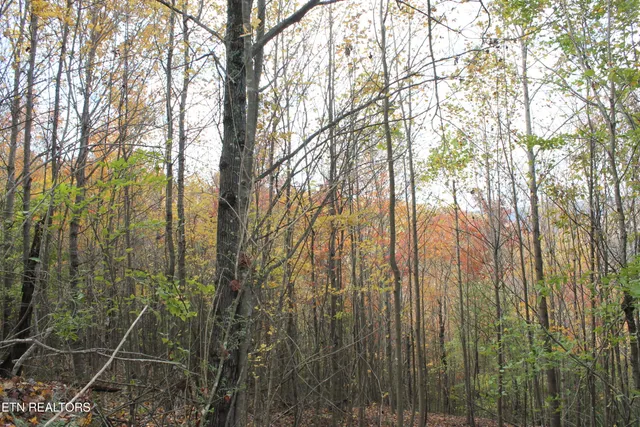 $548,000 | Baird Branch, Winfield, TN 37892