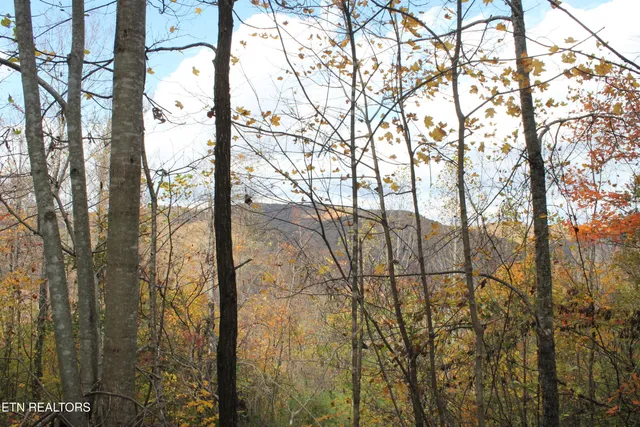 $548,000 | Baird Branch, Winfield, TN 37892