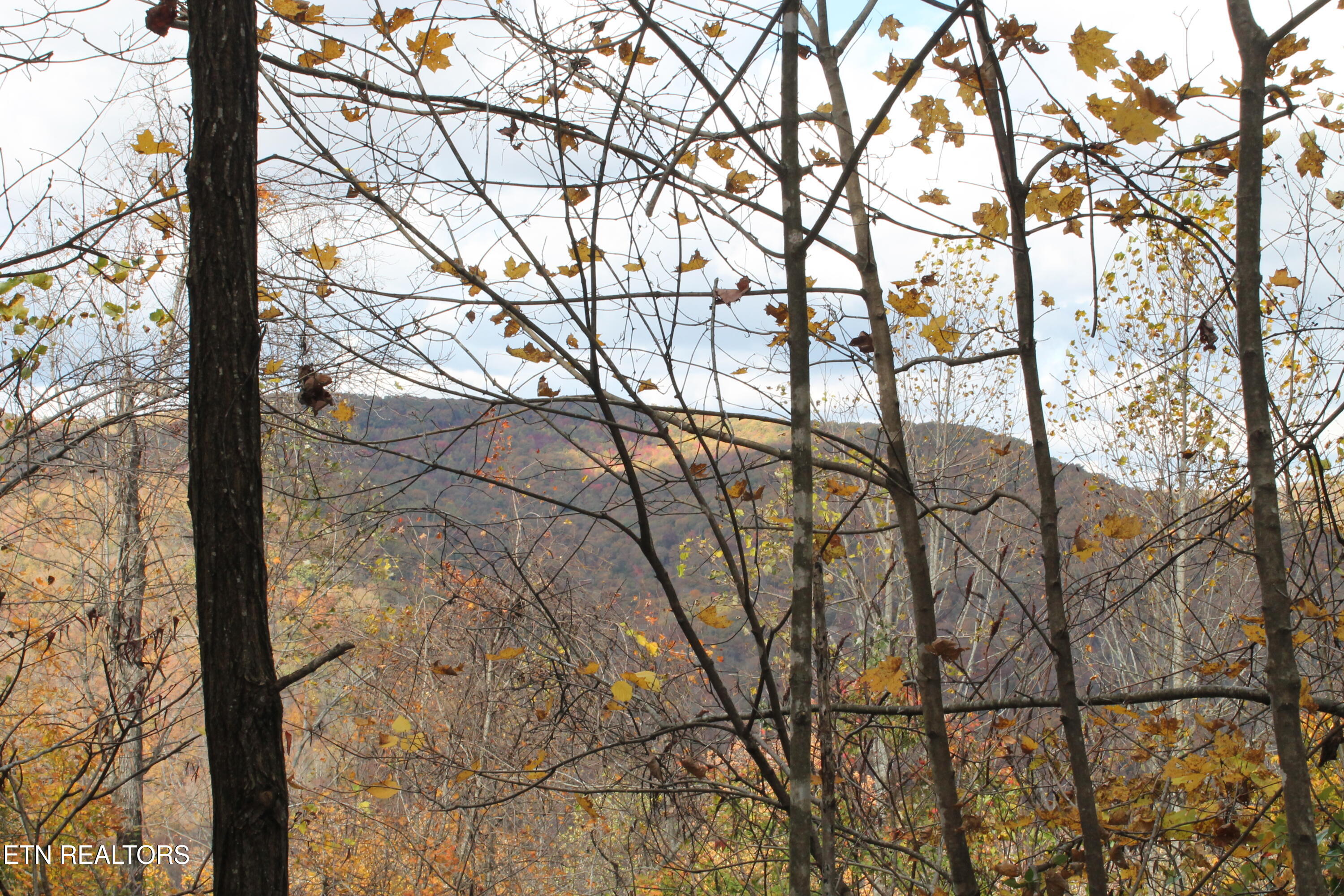 Baird Branch Winfield, TN 37892 - Photo 20 of 25 IMG_7946