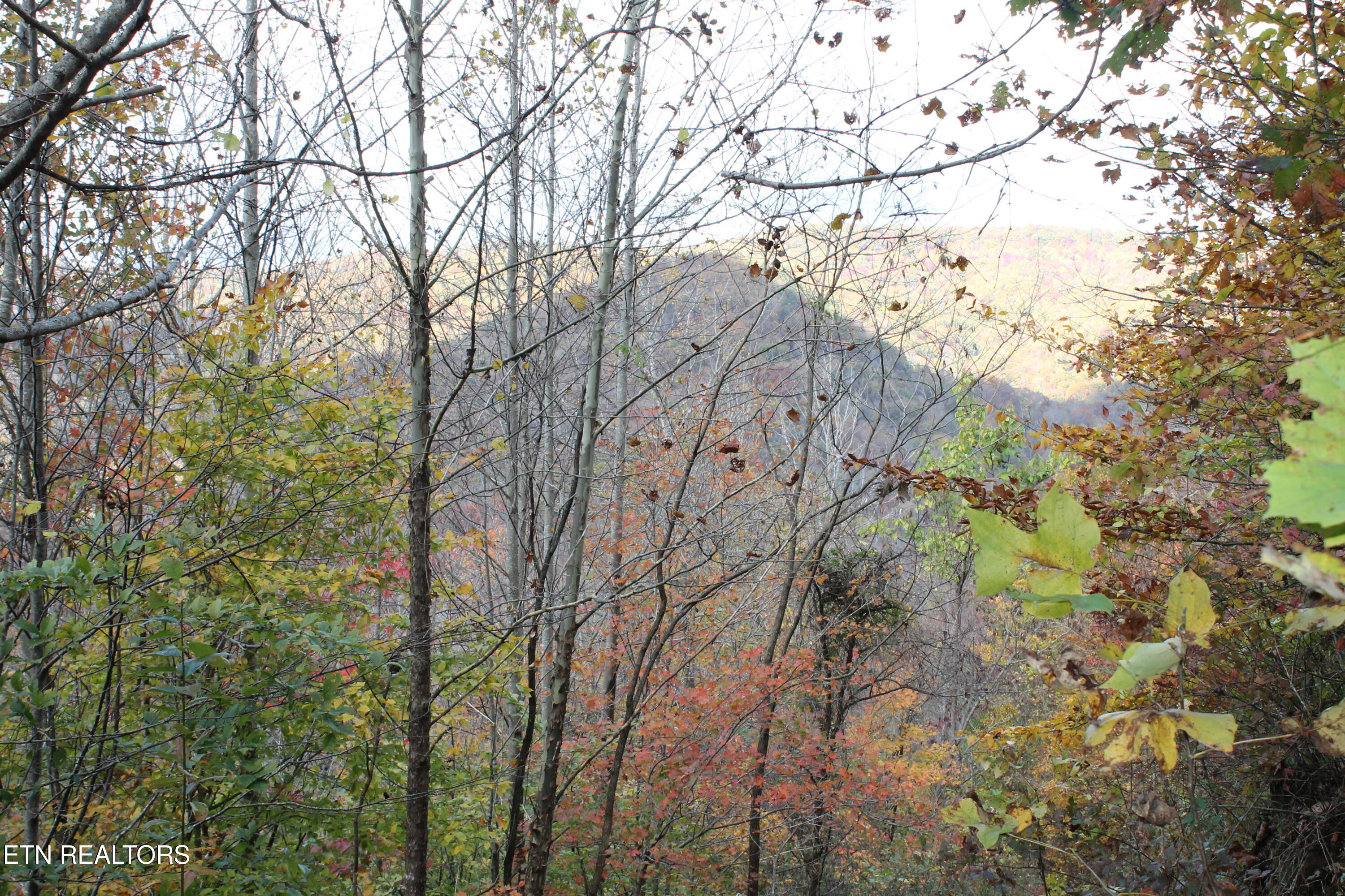 Baird Branch Winfield, TN 37892 - Photo 23 of 25 IMG_7949