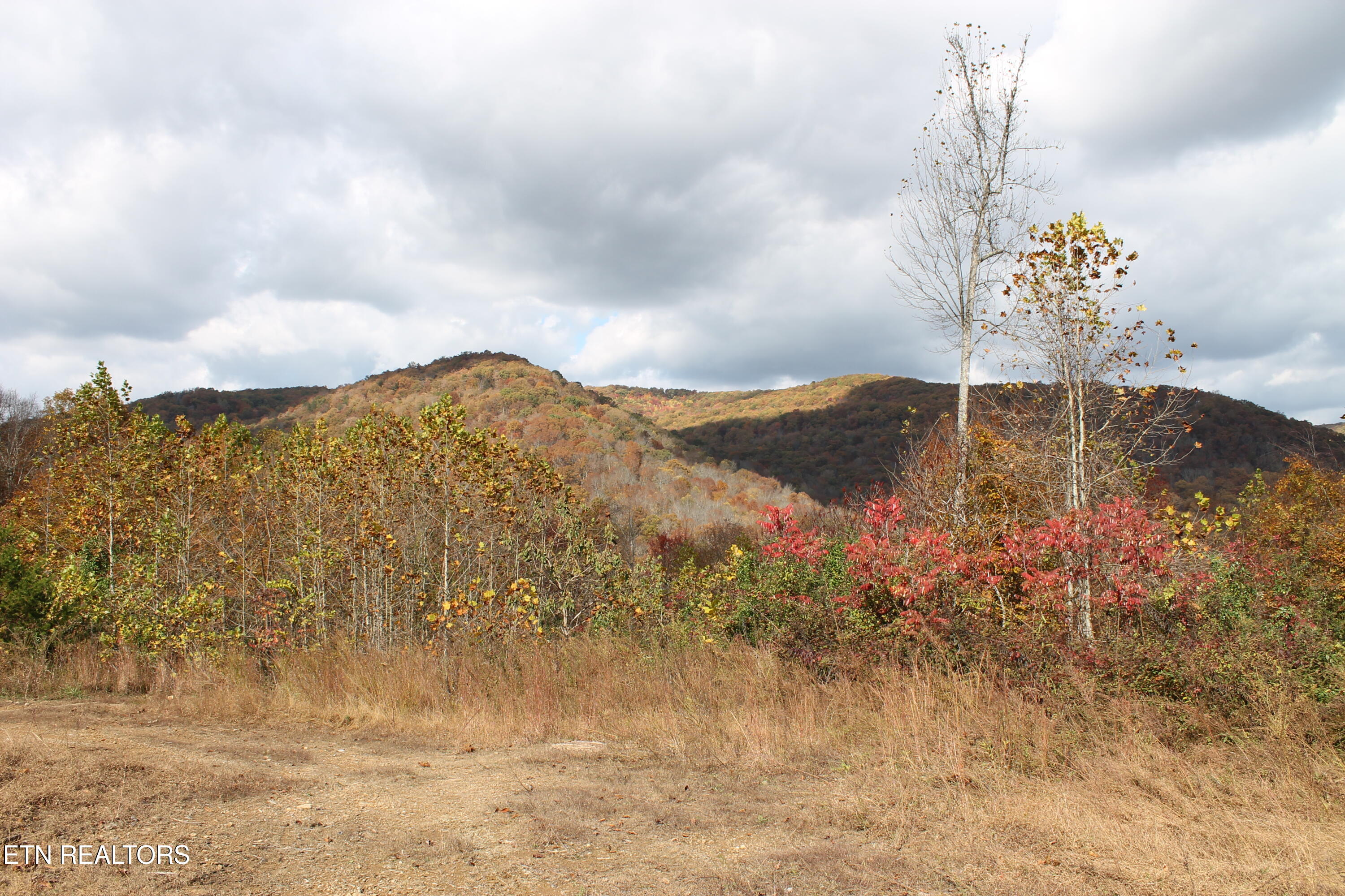 Baird Branch Winfield, TN 37892 - Photo 24 of 25 IMG_7950