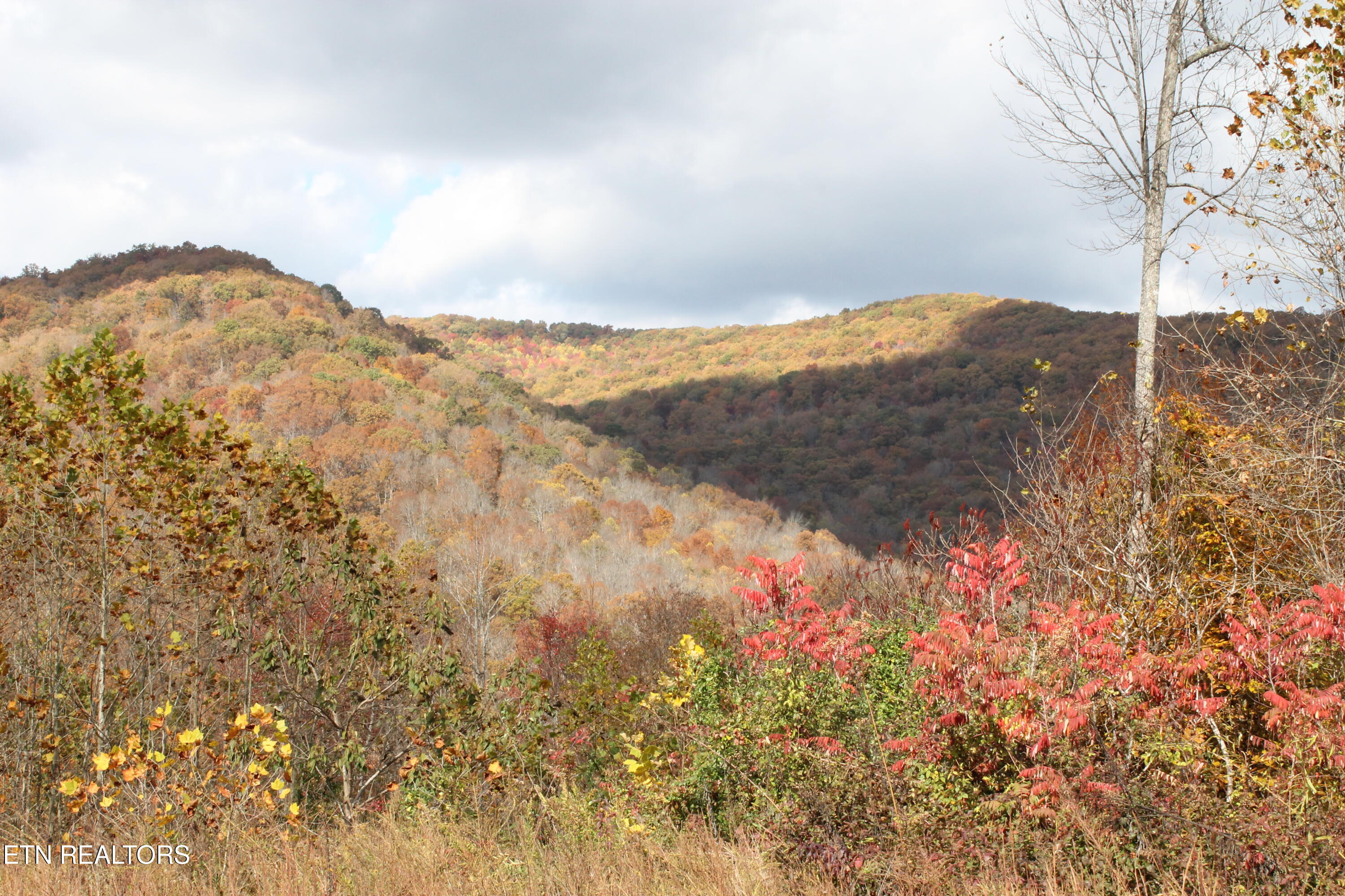 Baird Branch Winfield, TN 37892 - Photo 25 of 25 IMG_7951