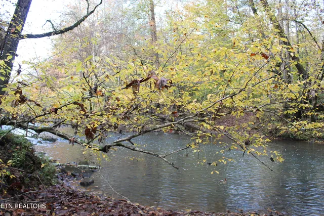 $548,000 | Baird Branch, Winfield, TN 37892