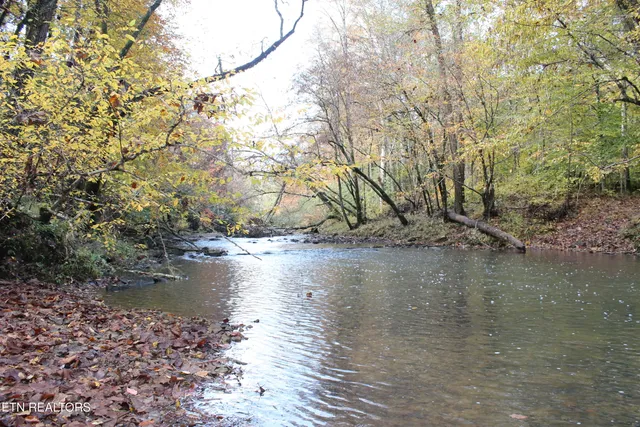 $548,000 | Baird Branch, Winfield, TN 37892