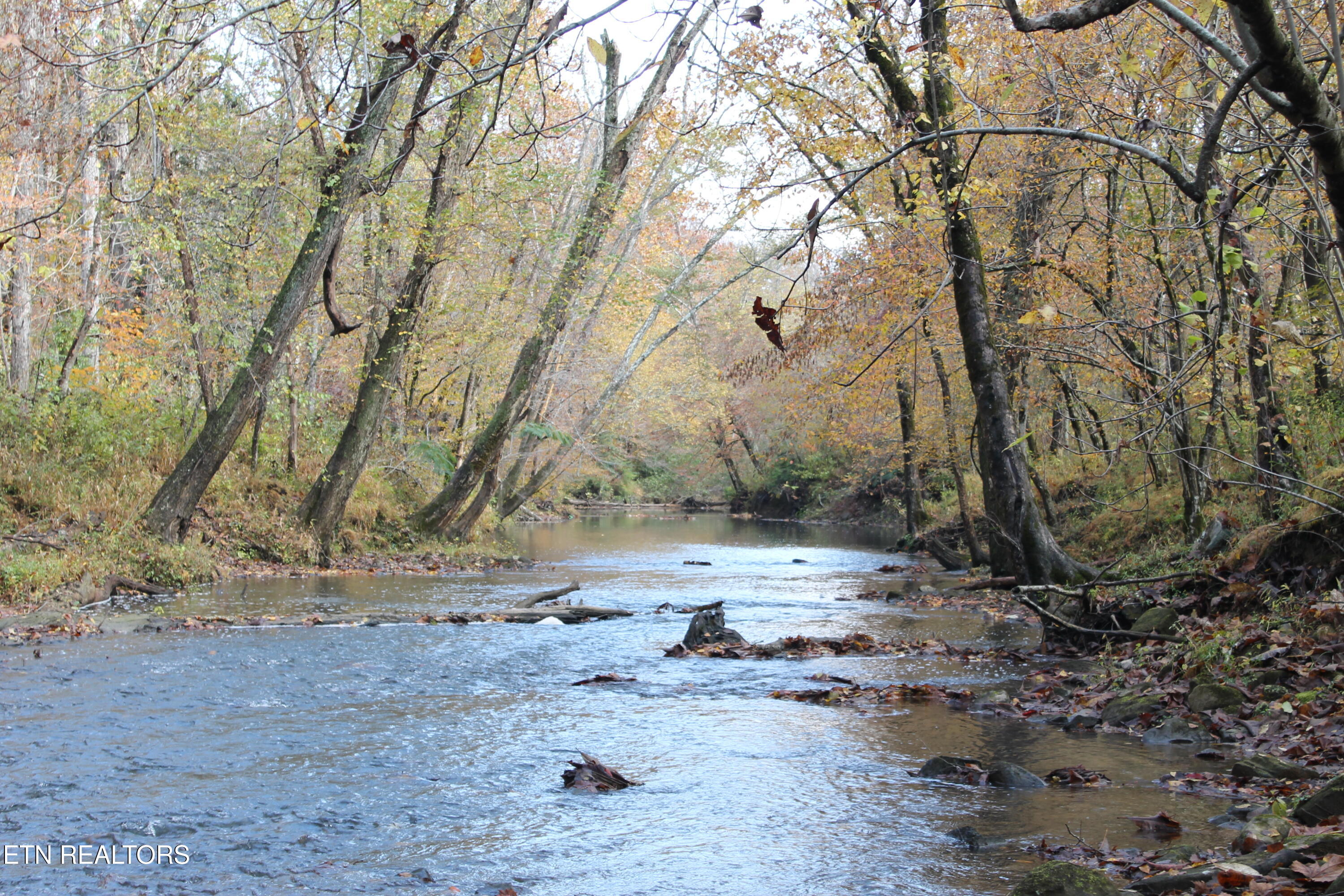 Baird Branch Winfield, TN 37892 - Photo 6 of 25 IMG_7921