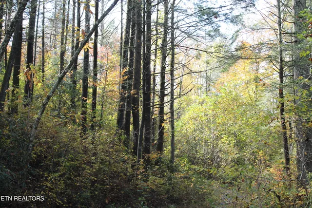 $548,000 | Baird Branch, Winfield, TN 37892