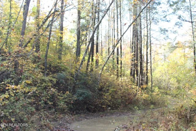 $548,000 | Baird Branch, Winfield, TN 37892