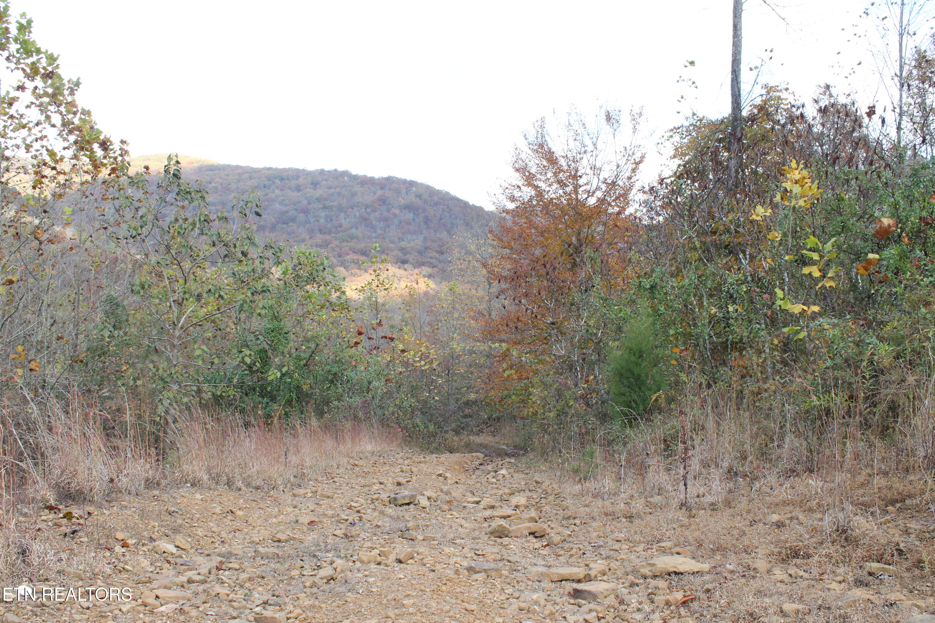 Baird Branch Winfield, TN 37892 - Photo 9 of 25 IMG_7924