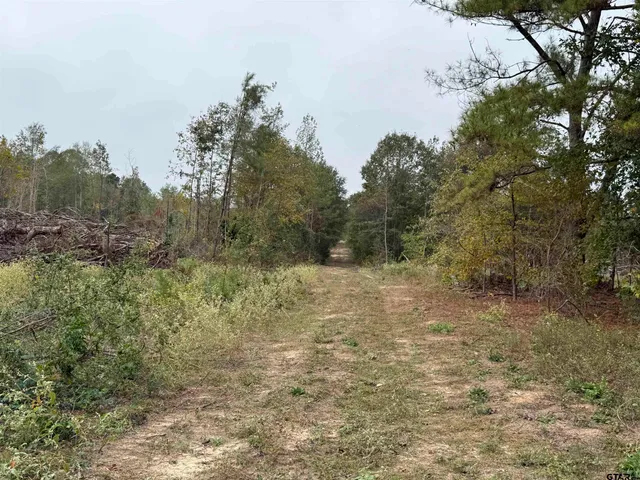 a view of a field with trees in the background