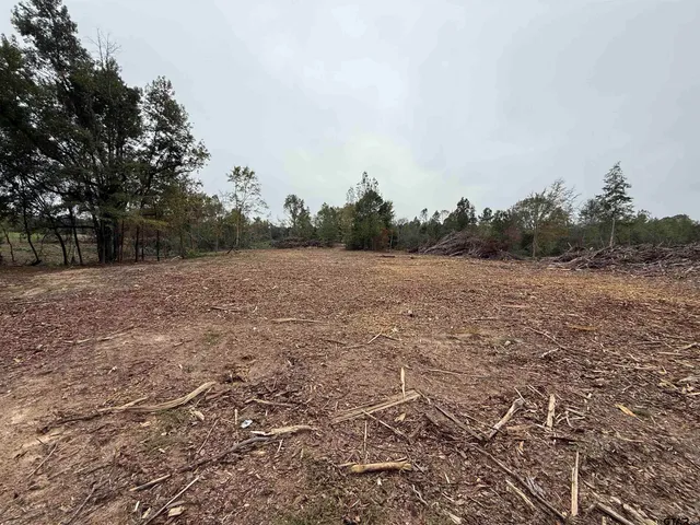 a view of a field with trees in the background