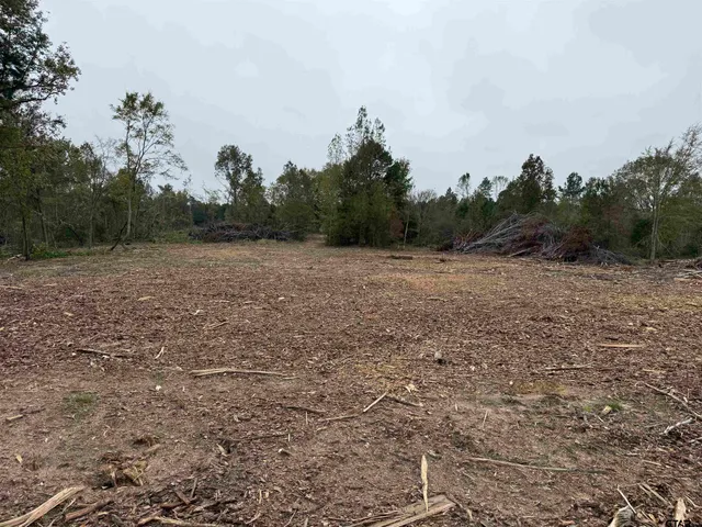a view of dirt field with trees in background