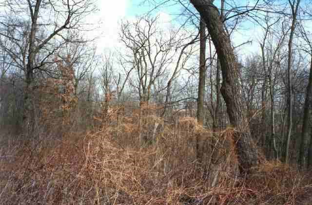 649 North Elizabeth Scales Mound Road Elizabeth, IL 61028 - Photo 4 of 5 Gallery Image 4