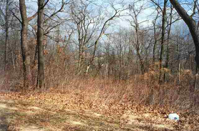 649 North Elizabeth Scales Mound Road Elizabeth, IL 61028 - Photo 5 of 5 Gallery Image 5
