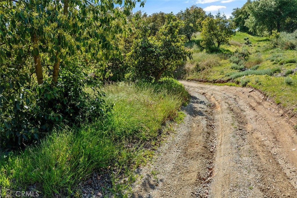 48825 Via Vaquero Temecula, CA 92590 - Photo 13 of 37