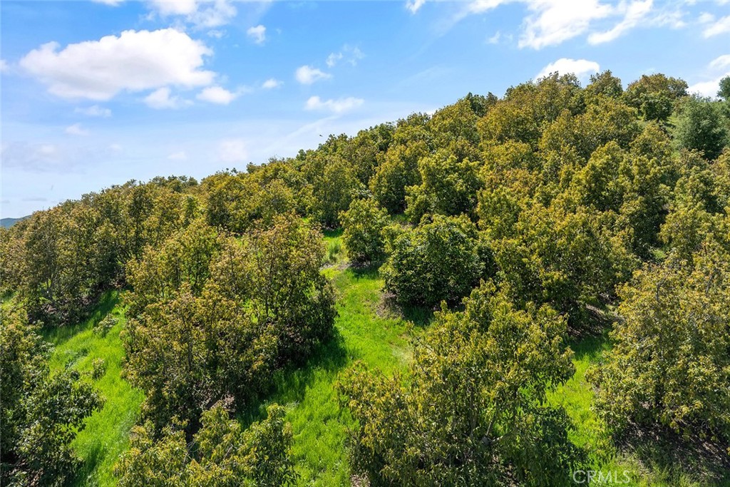 48825 Via Vaquero Temecula, CA 92590 - Photo 16 of 37