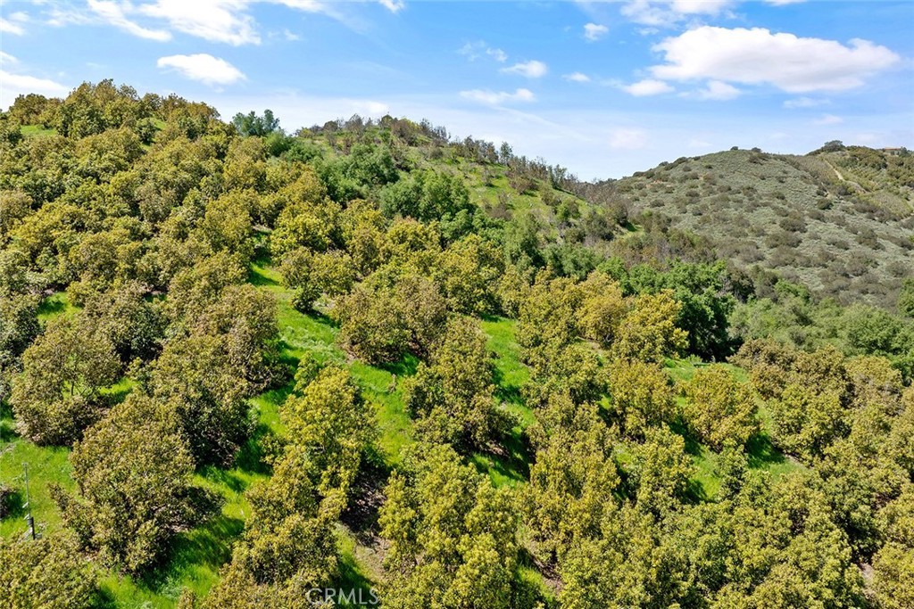 48825 Via Vaquero Temecula, CA 92590 - Photo 19 of 37