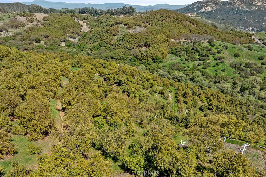 48825 Via Vaquero Temecula, CA 92590 - Photo 22 of 37