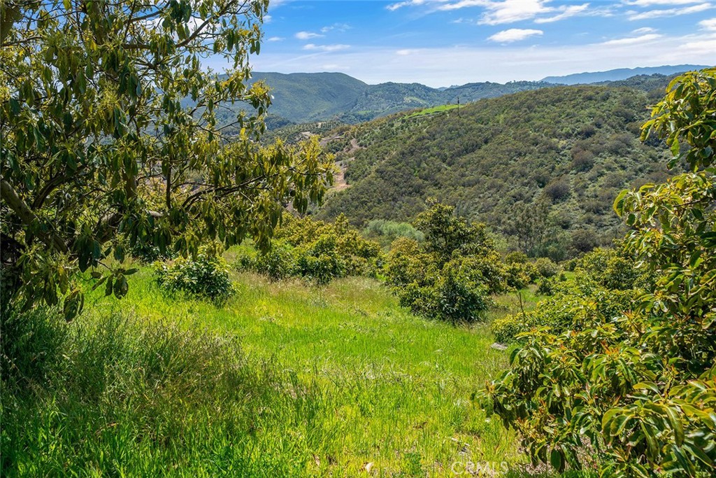 48825 Via Vaquero Temecula, CA 92590 - Photo 29 of 37