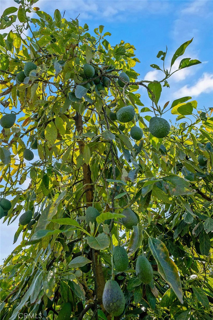 48825 Via Vaquero Temecula, CA 92590 - Photo 3 of 37
