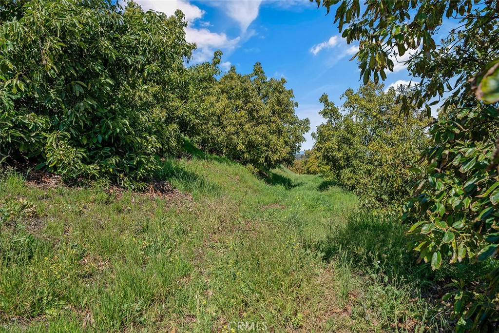 48825 Via Vaquero Temecula, CA 92590 - Photo 32 of 37