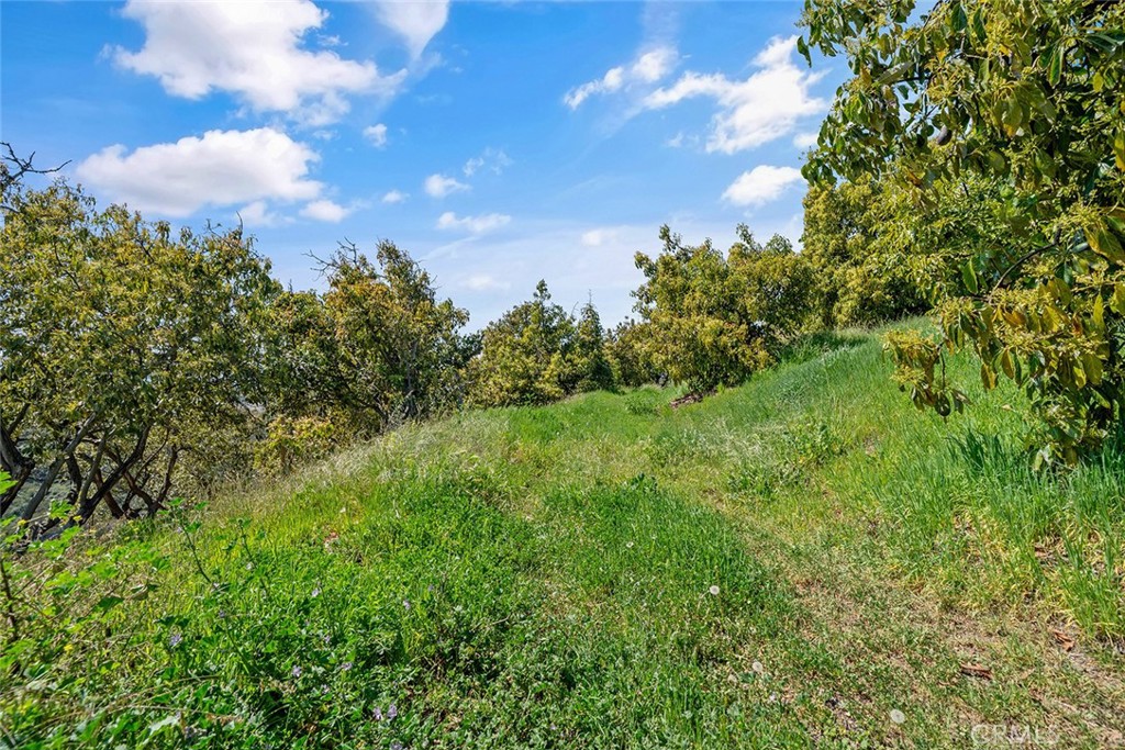 48825 Via Vaquero Temecula, CA 92590 - Photo 33 of 37