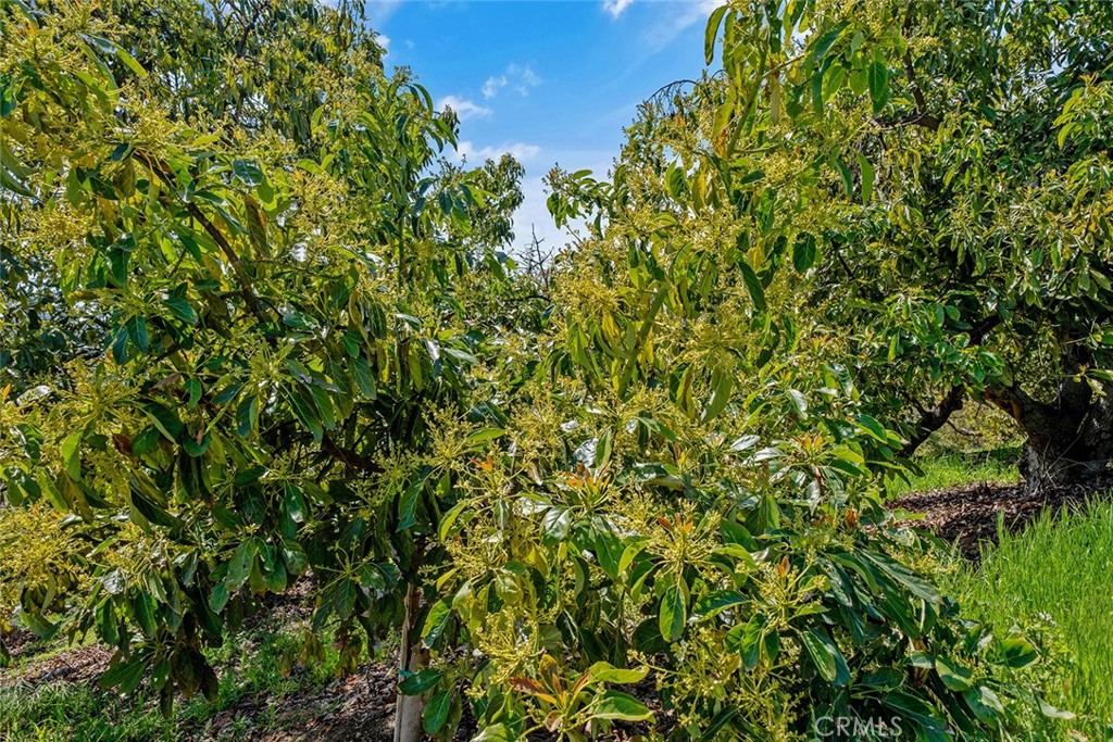 48825 Via Vaquero Temecula, CA 92590 - Photo 34 of 37