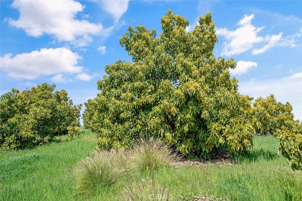 48825 Via Vaquero Temecula, CA 92590 - Photo 35 of 37