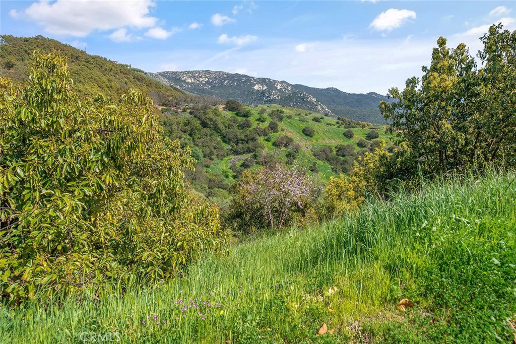 48825 Via Vaquero Temecula, CA 92590 - Photo 37 of 37