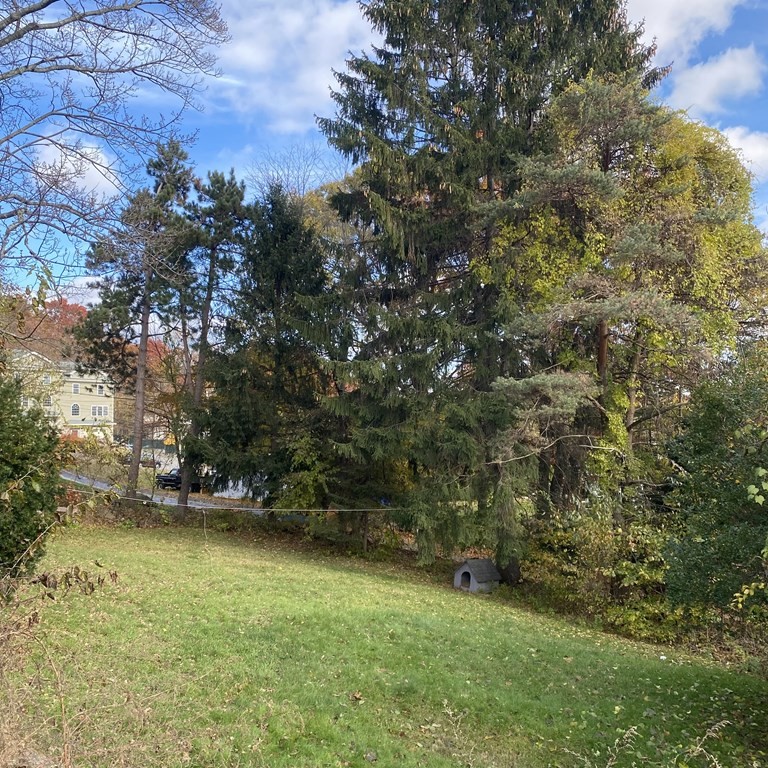 19 Chequeset Road Worcester, MA 01605 - Photo 5 of 36 Gallery Image 5