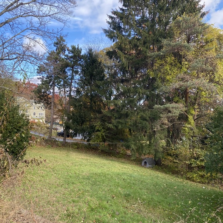 19 Chequeset Road Worcester, MA 01605 - Photo 6 of 36 Gallery Image 6