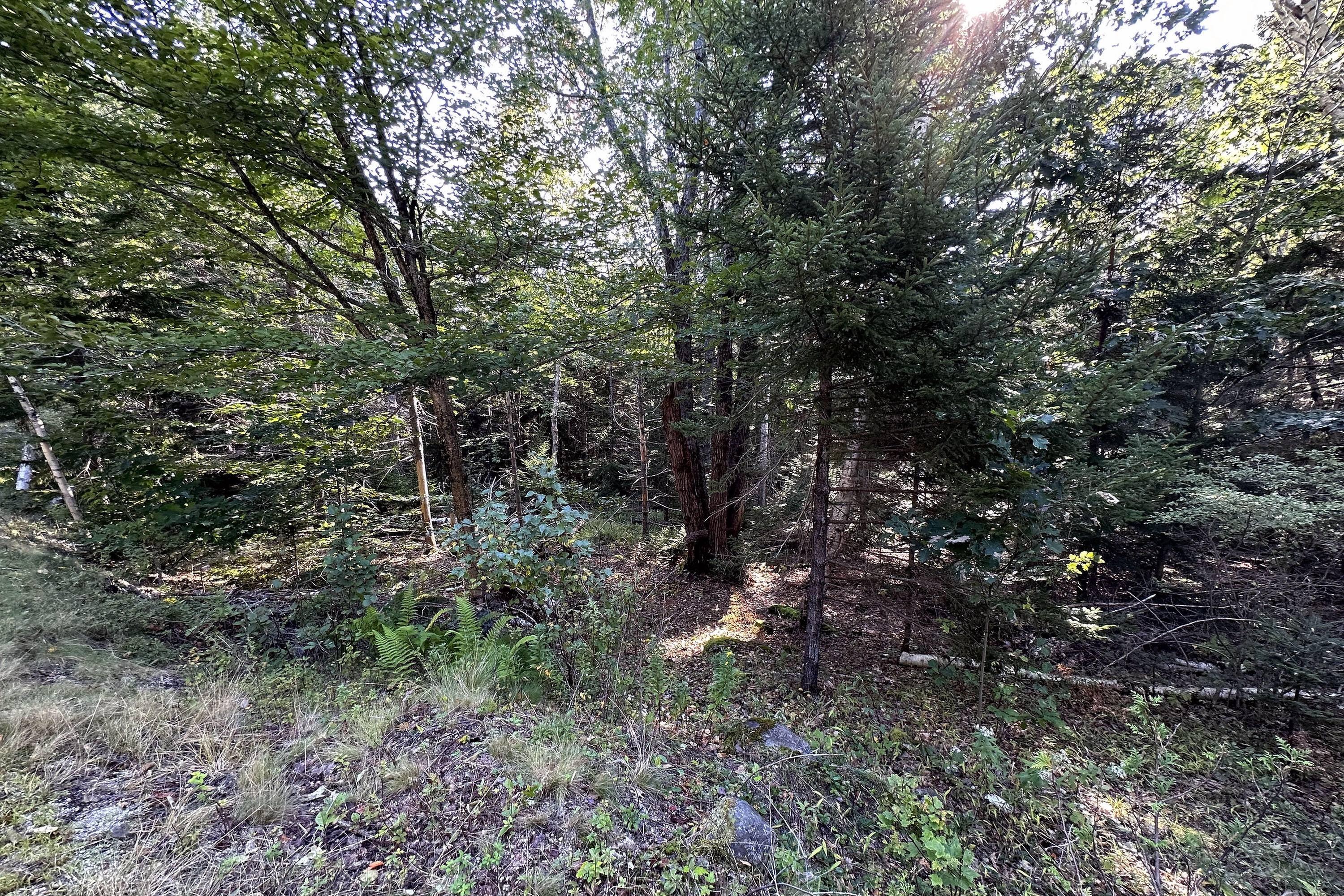 0 Cross Road Sedgwick, ME 04676 - Photo 21 of 24