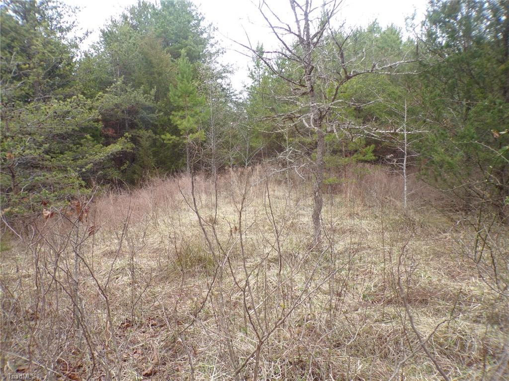 1809 Alamance Church Road Greensboro, NC 27406 - Photo 11 of 15