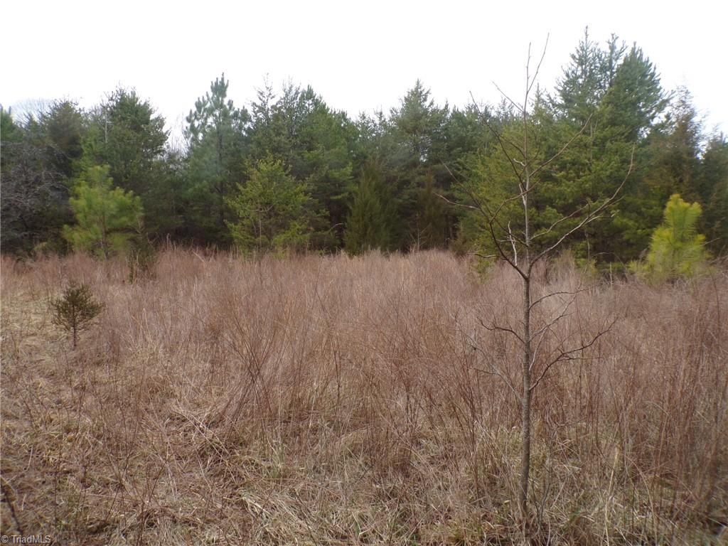 1809 Alamance Church Road Greensboro, NC 27406 - Photo 12 of 15