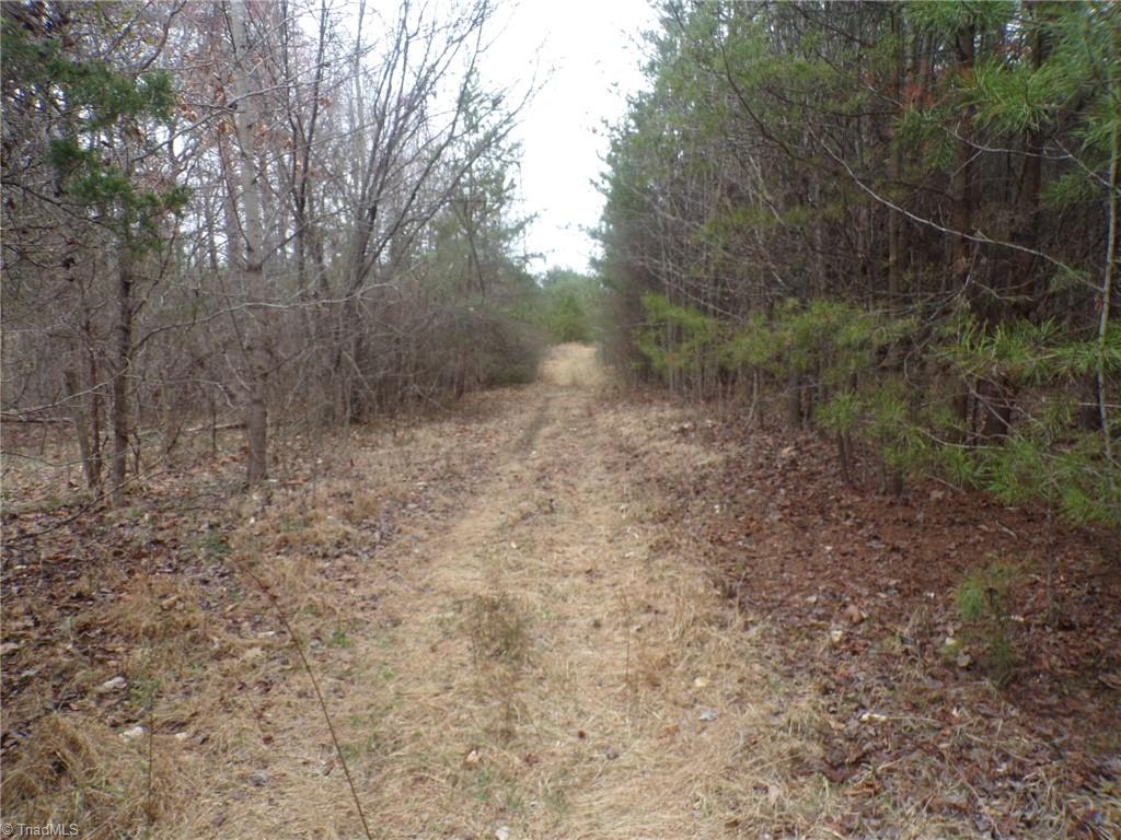 1809 Alamance Church Road Greensboro, NC 27406 - Photo 13 of 15