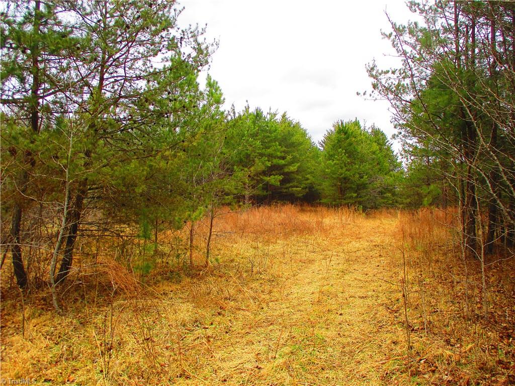 1809 Alamance Church Road Greensboro, NC 27406 - Photo 6 of 15 Walking path to the back of the property.