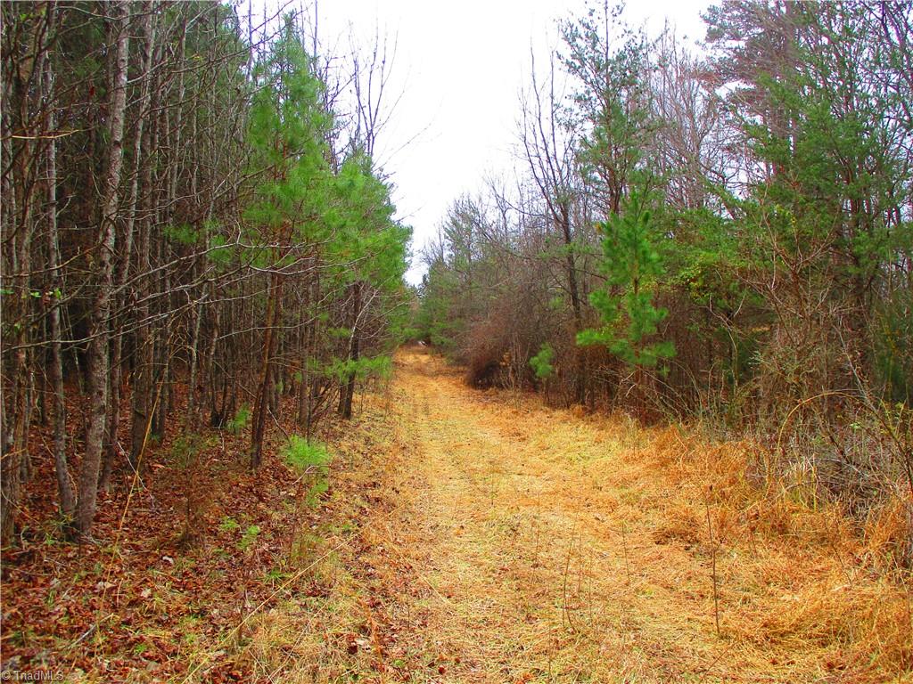 1809 Alamance Church Road Greensboro, NC 27406 - Photo 7 of 15 Level land.