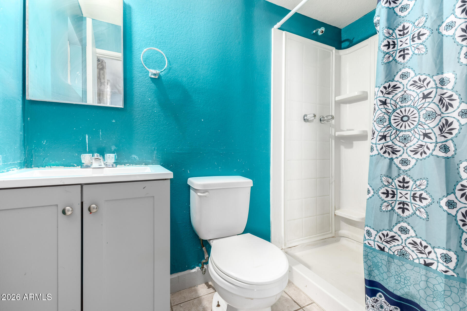 6920 West Fillmore Street Phoenix, AZ 85043 - Photo 10 of 15 Primary En-suite