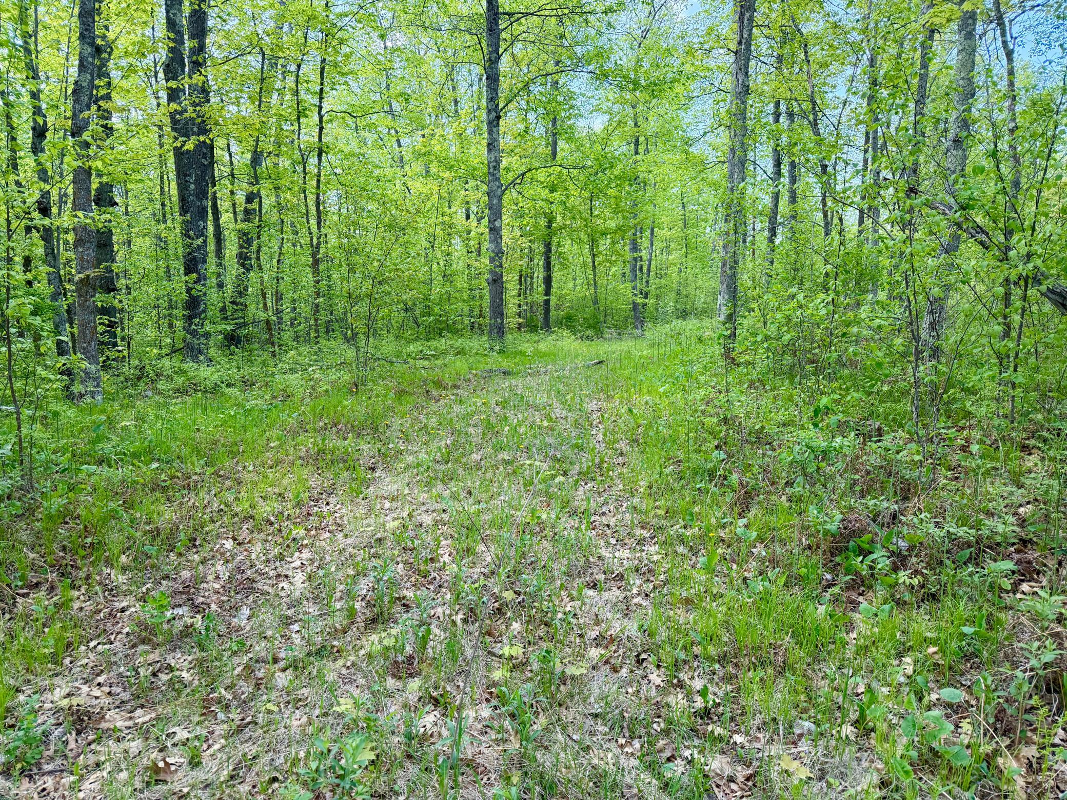 9072 County 8 Northeast Remer, MN 56672 - Photo 2 of 7