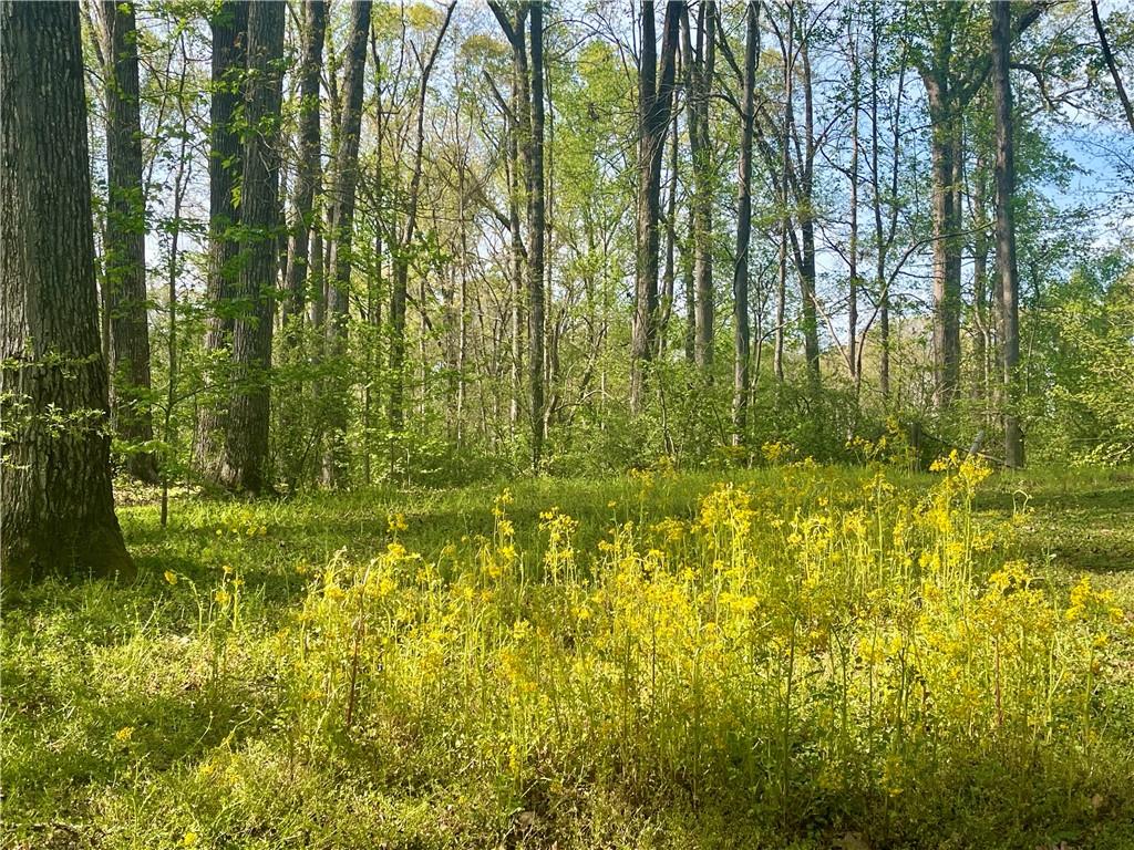 12005 A Hutchesons Ferry Road Palmetto, GA 30268 - Photo 33 of 53