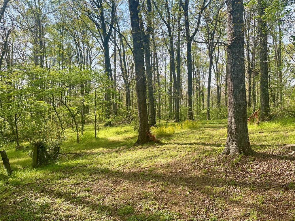 12005 A Hutchesons Ferry Road Palmetto, GA 30268 - Photo 34 of 53 a view of a yard with trees