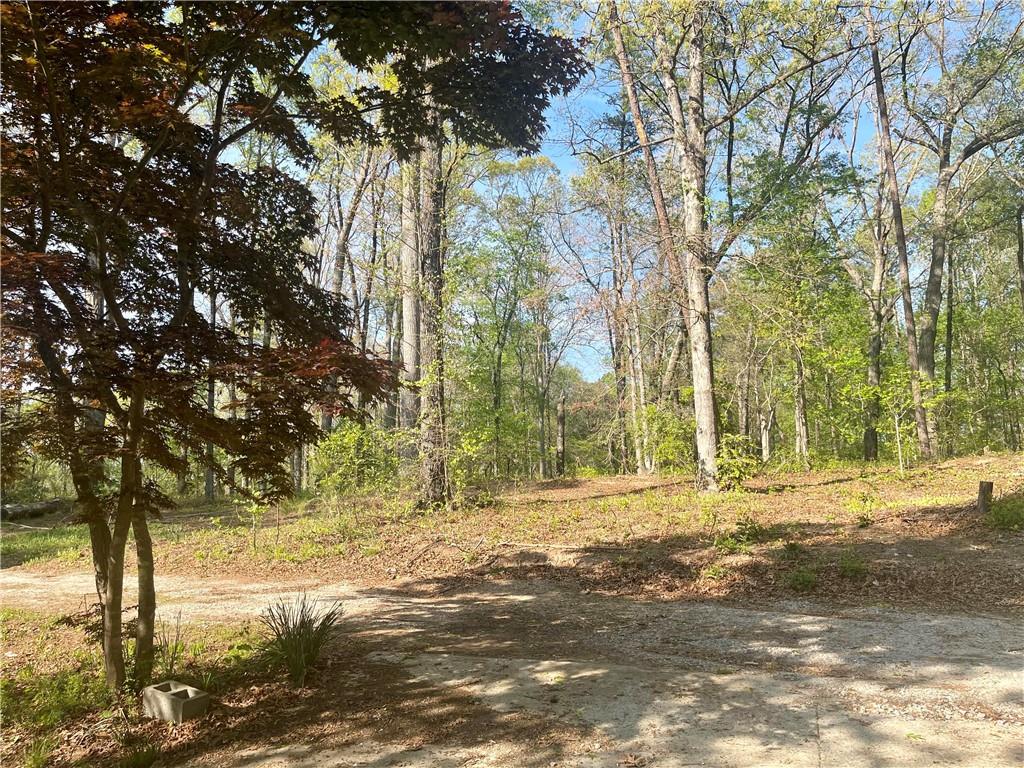 12005 A Hutchesons Ferry Road Palmetto, GA 30268 - Photo 43 of 53 a view of dirt yard with a large tree