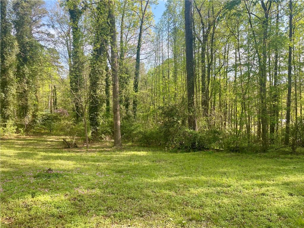 12005 A Hutchesons Ferry Road Palmetto, GA 30268 - Photo 48 of 53 a view of a yard with green space