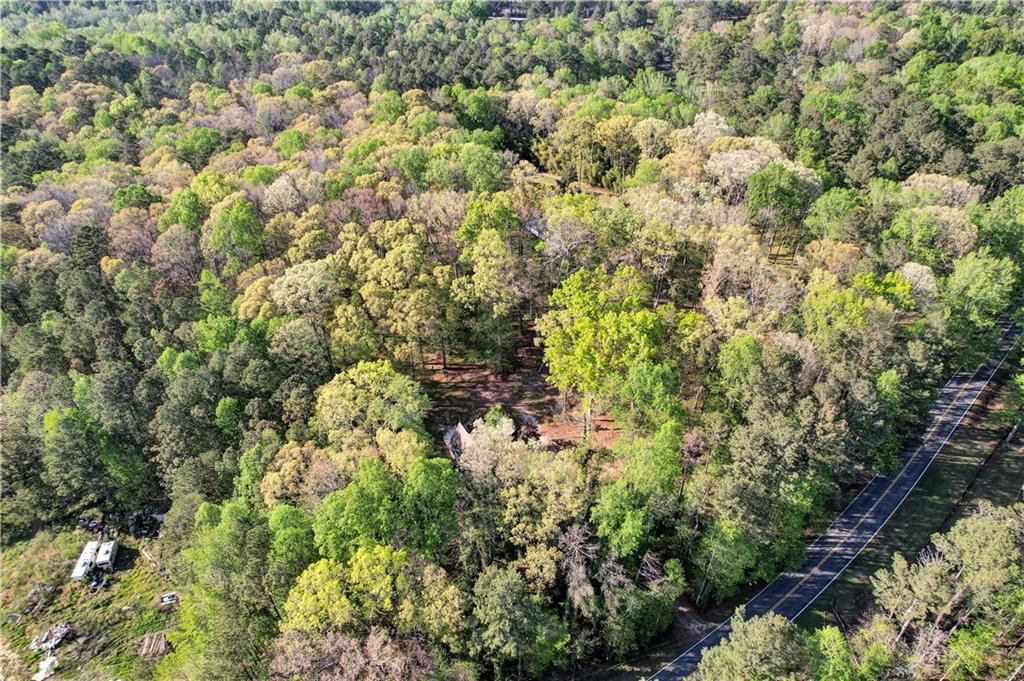 12005 A Hutchesons Ferry Road Palmetto, GA 30268 - Photo 52 of 53 a view of a house with a lush green forest